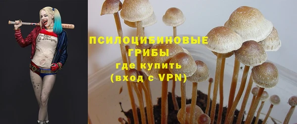 эйфоретик Алзамай