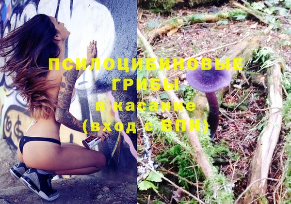 эйфоретик Алзамай