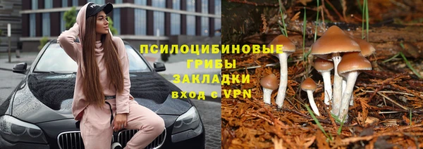 эйфоретик Алзамай