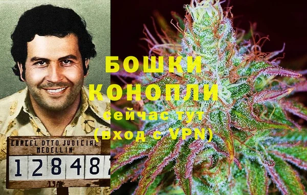 ALPHA PVP Алексеевка